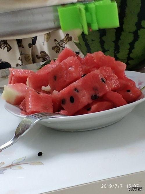 免费网红吃瓜神器,免费畅享娱乐盛宴