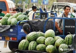 云南男网红吃瓜